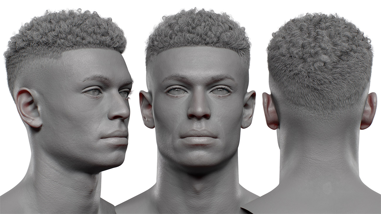 Hair in blender download Afro